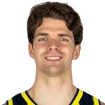 Tarik Biberovic
